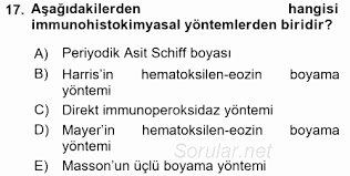 Temel Veteriner Patoloji 2017 2018 Ara Sinavi 17 Soru Aof Sorular Net