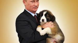 Russian president vladimir putin, a dog lover, received a top breed puppy as a belated birthday present on october 11 from. Wanted Name For Putin S New Pet Rt World News