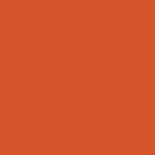 This year, burnt orange is one shade taking center stage. Obstinate Orange Sw 6884 Orange Paint Color Sherwin Williams