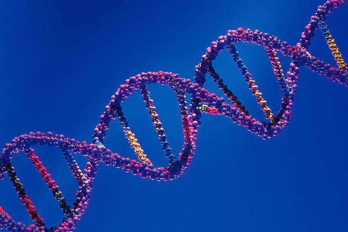 Full Form of DNA: Meaning, Structure, Functions, Importance, and Interesting Facts