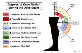Managing Athletes With Osgood Schlatter S Disease Wasserman Strength Wasserman Strength
