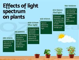 Green fingers led grow light. Greenfingers Led Grow Light Kit Hydroponic System 1200w Full Spectrum Indoor 9350062154366 Ebay
