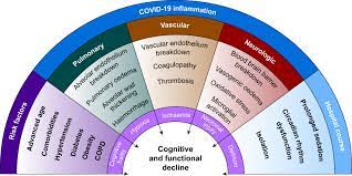 Early results from a us nationwide cohort by docwire news featured reading The Third Wave Impending Cognitive And Functional Decline In Covid 19 Survivors British Journal Of Anaesthesia