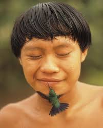 On my journey translating the Ayvu Rapyta, mystery, and hummingbirds Andrea  Ferrari recounts the profound doubts she faced while spending seven years  attempting to translate the sacred Mbya Guaraní creation text, Ayvu