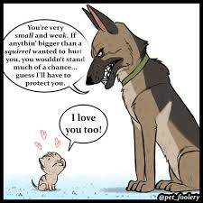 Funny pics, humour quotes, funny jokes, jokes funny, hilarious funny, humor funny …for more humorous quotes and funny pictures visit www.bestfunnyjokes4u.com. These Hilariously Adorable Comics About Brutus And Pixie Will Instantly Make Your Day Bored Panda