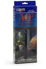 Females aren't as vibrant as male. How To Breed Betta Fish Expert Step By Step Guide