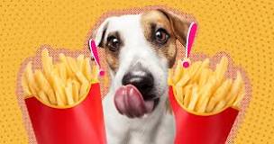 Can dogs eat french fries?