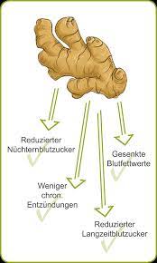 Diabetes Mellitus Ingwer Wirkung Mit Ingwer Gegen Diabetes Mellitus