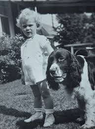 How to become a travel writer. How To Become A Travel Writer Ted Tells His Story Quirky Cruise