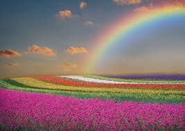 Arcoiris investe risorse nella ricerca e nella selezione di varietà , e popolazioni, sempre più mirate per l'agricoltura bio. Cores E Psique Confira A Psicologia Do Arco Iris Planeta
