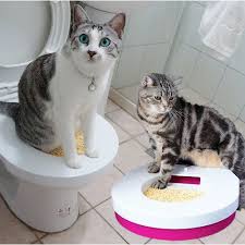 貓砂盆專利貓咪如廁訓練器超值寵物用品好神貓砂盆送不鏽鋼拾便器送貓砂特優 cats animals