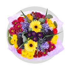 Get free just flowers coupon codes, deals, promo codes and gifts in may 2021. How To Care For Lilies Fred Meyer