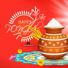 Maybe you would like to learn more about one of these? Best Pongal Wishes And Status 2021 Pongal Wishing Images And Quotes
