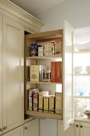 Kitchen Cabinet Organization For Every Lifestyle Storage Ideas To Make Your Life Ea Kitchen Cabinets In Bathroom Cabinet Door Styles Cabinet Organization