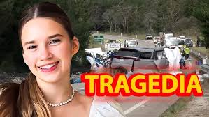 DAN BAU SELF LEARNING-Tu hoc DAN BAU(DVD+Book)獨弦琴