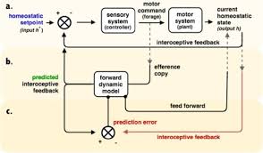 Neurocomputational Theories Of Homeostatic Control Sciencedirect