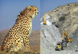 Image result for â«ÙØ¹Ø¯Ù Ø¨ÙÚ©Ø³ÛØª Ø´Ø§ÙØ±ÙØ¯â¬â
