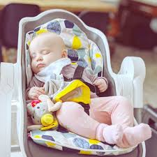 Cocoon High Chair Slate Seat Liner Combo In 2020 Baby Recliner High Chair Modern High Chair