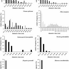 Image result for Xymalos monospora