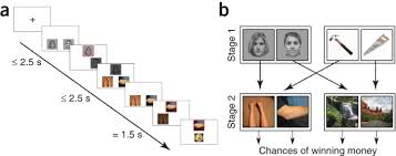 What to include in your modeling portfolio. Model Based Choices Involve Prospective Neural Activity Nature Neuroscience