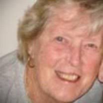 Carol Anne Chellew Obituary (2022)