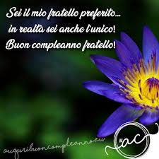 Ecco allora dunque alcune delle più belle frasi dedicate al meraviglioso rapporto tra fratelli, a volte non sempre idilliaco, a volte faticoso, ma sicuramente qualche volta è scomodo sentirsi fratelli, ma è grave considerarsi figli unici. Buon Compleanno Fratello Gli Auguri Piu Speciali Del 2021
