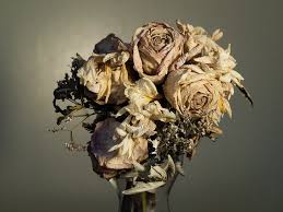 Alternative gifts for funeral instead of flowers. The Gifted Tree On Twitter Need A Good Alternative For Funeral Flowers Consider Sending A Gift Tree Instead Discover 5 Reasons It Is A Good Idea In Our New Blog Https T Co Bedeuuxu5i Https T Co 3zlus4ph6h