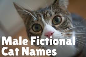 Magical cat names for your mystical feline. 229 Brilliant Literary Names For Cats