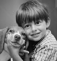 Stock Image Search Results