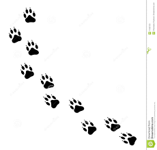 Dog Paw Tracks Stock Vector Illustration Of Animal Tracks 11602123