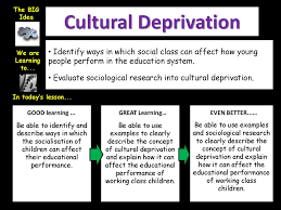 What Different Norms Values And Roles Might People From Different Social Classes Have Starter What Are The Different Categories For Social Class Ppt Download
