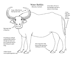 Maybe you would like to learn more about one of these? Water Buffalo Coloring Page