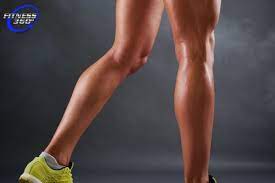 Leg Gym Workout: Building Strength And Muscle In Your Legs
