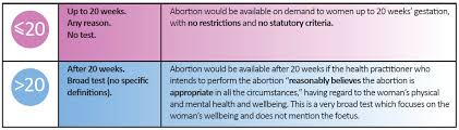 Abortion Legislation Act 2020 Here S How Extreme It Is Family First Nz
