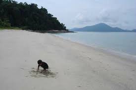 #perak #ipoh #zootaiping 10 tempat menarik di perak jangan lupa like n subscribe sekali ya.support skit.bg semangat ;) tq. Tempat Percutian Di Perak 9 Tempat Menarik Untuk Seisi Keluarga Theasianparent Malaysia