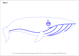 Mark a small eye just above the end of the mouth line. Images Of Cartoon Blue Whale Drawing