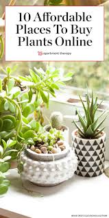 10 Great Budget Sources For Buying Plants Online In 2020 Buy Plants Online Buy Plants Plants