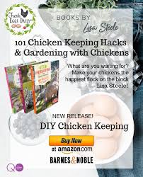 The Holistic Trinity Apple Cider Vinegar Garlic And Diatomaceous Earth Fresh Eggs Daily In 2020 Fresh Eggs Daily Chicken Feed Chicken Diy