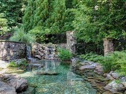 Many of the featured include tropical plants or ornamental fish. 53 Backyard Garden Waterfalls Pictures Of Designs Designing Idea