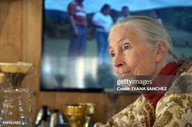 119 Roger Payne Stock Photos, High-Res Pictures, and Images