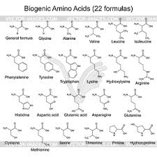 Since our founding in 1978 as one of the world's first global biotechnology companies, biogen has led innovative scientific research with. Zweiundzwanzig Biogenen Aminosauren Chemische Formeln Vektor Klipart