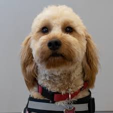 Meet Our Experienced Care Team