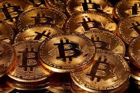 Discover new cryptocurrencies to add to your portfolio. Bitcoin Price Bitcoin Goldrush Sparks Fears Of Speculative Bubble International Business News Times Of India