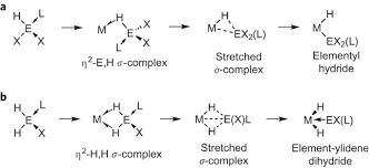 The cylinders bores were attached to the outer case at the 12, 3, 6 and 9 o'clock positions) for greater rigidity around the head gasket. Structural Snapshots Of Concerted Double E H Bond Activation At A Transition Metal Centre Nature Chemistry