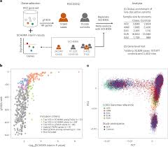 Consistent Schizophrenia Risk from Protein-Truncating Variants in Diverse Human Populations