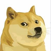 See high quality wallpapers follow the tag #wallpaper doge for mobile. Profile Doge