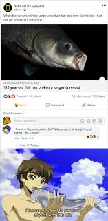 Welcome to the classroom of the supreme ability doctrine) is a japanese light novel series written by shōgo kinugasa and illustrated by shunsaku tomose. Suzaku Likes To Pleasure Himself With Fish Even In National Geographic S Facebook Page Animemes
