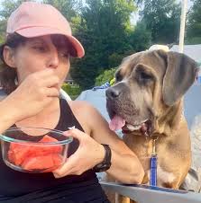 🎉Norwood celebrates the outstanding achievements of our Green Hawks  robotics team at the FIRST LEGO League WPI World Championship, June 13-15!  Competing against 100+ teams from around the world at Worcester Polytechnic