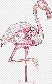 Este diseño de un flamingo forma parte de los dibujos más pintados en hellokids porque representa muy bien el canal dibujos de aves y pájaros. Desenho Flamingos Png Pngegg