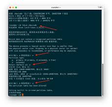 第3页- 甲骨文云Oracle Cloud 引导卷扩展和块存储卷挂载- 思有云 ...